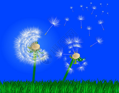 两个吹泡球 - 春天 - 蓝色的天堂背景图片