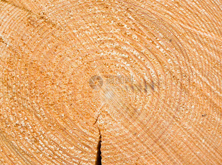 密闭木制剪切纹理木材树干烧伤生态松树森林环境棕色季节性燃料图片