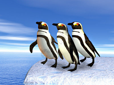 站在冰上企鹅三只企鹅站在冰上背景