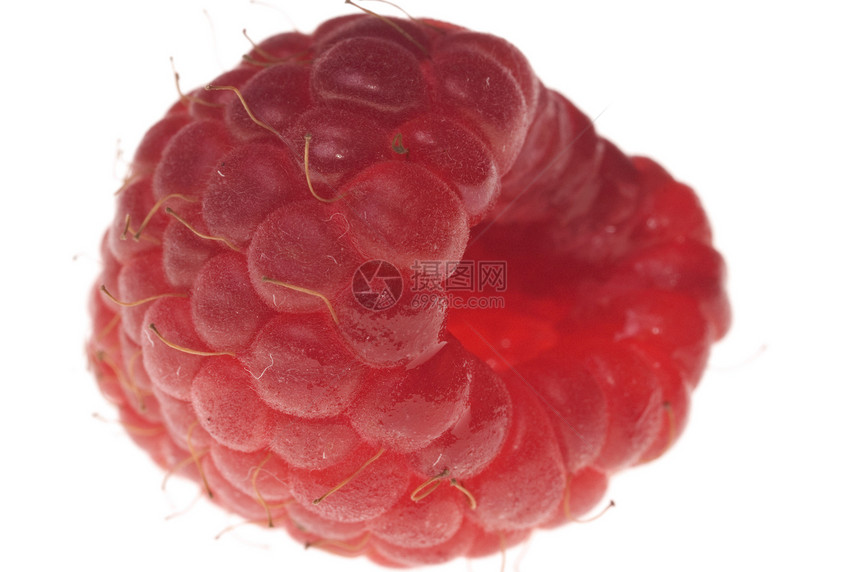 大草莓红色食物白色水果宏观图片