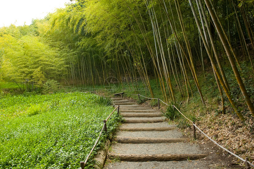 日本花园花园反射植物怀旧园林竹子绿色公园池塘树林图片