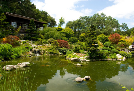 日本花园树林反射园林绿化竹子绿色池塘怀旧冥想花园高清图片