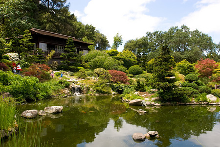 日本花园晴天竹子绿化怀旧反射园林池塘公园植物绿色高清图片