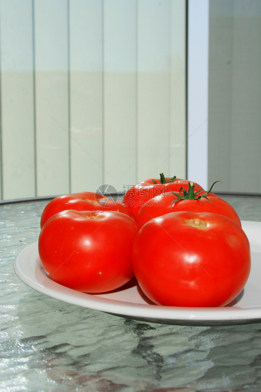 红番茄红色蔬菜资源盘子收成沙拉食物制品拼盘白色图片