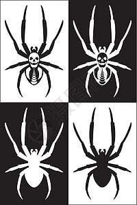 蜘蛛颅骨网络昆虫黑色白色动物漏洞骨骼恶梦背景图片