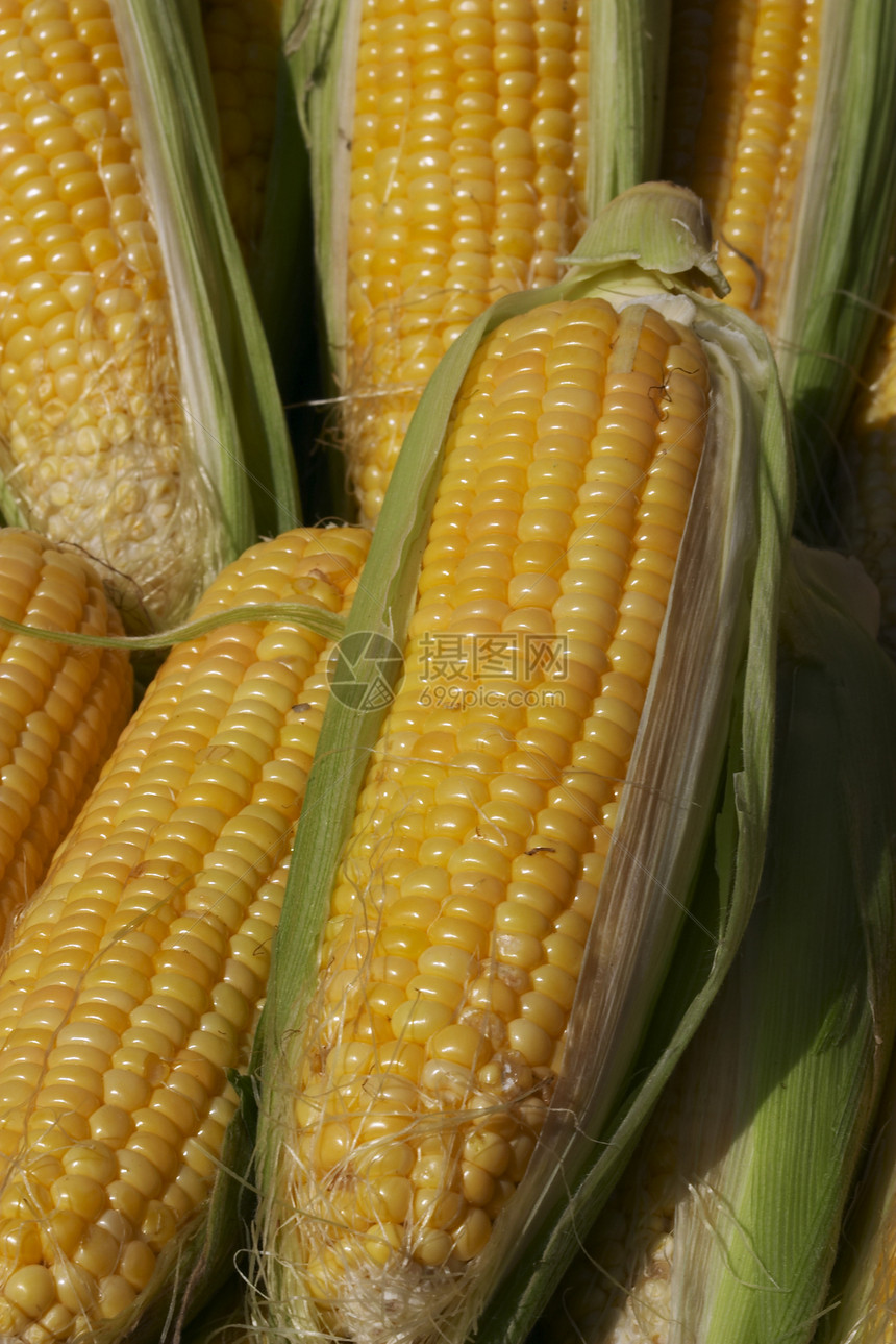 玉米耳食物市场饮食食品农业蔬菜植物味道烹饪图片