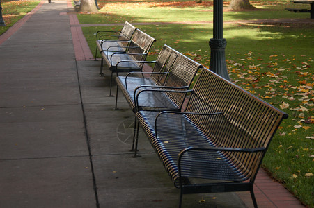 公园长板休息座位椅子花园绿色孤独金属树木背景图片