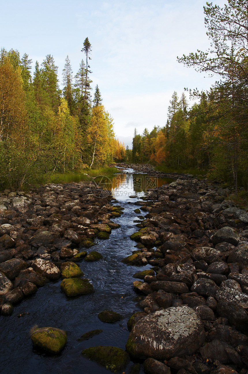 秋季森林流动石头溪流岩石图片