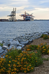 造船厂和鲜花背景图片