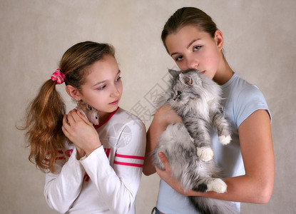 两个女朋友爱好工作室童年灰色发型宠物仓鼠拥抱女孩们压痛背景图片
