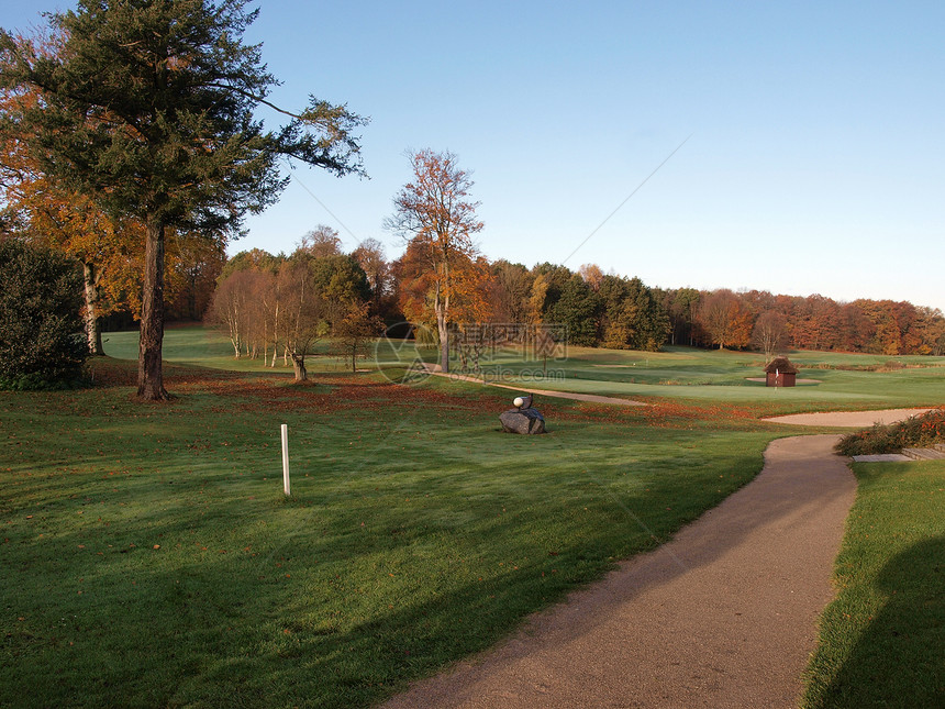 美丽的高尔夫球场美化课程高尔夫球绿地城市场景树木草地场地公园图片