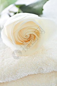一堆毛巾和玫瑰浴室花朵投标折叠奶油奢华棉布桑拿身体柔软度背景图片