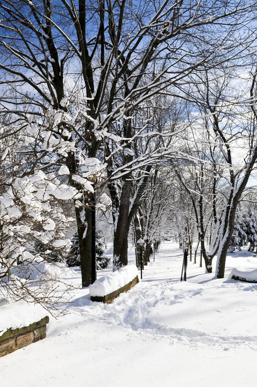 冬季公园降雪分支机构季节街道小路森林胡同树木车道城市图片