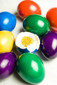 复活节红色空白黄色兔子绿色传统蓝色背景图片