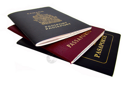 护照访问鉴别边界游客文档签证旅游旅行背景图片
