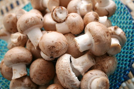 新鲜蘑菇维生素蔬菜食物健康烹饪背景图片