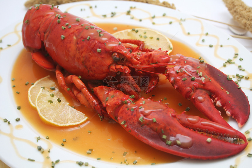 a 龙虾食物贝类餐厅海鲜午餐图片