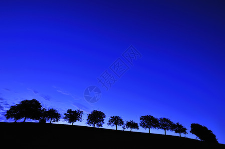 黎明景观蓝色树木唤醒荒野辉光水平波峰孤独和平背景图片