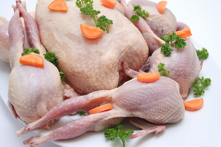 鸡和鹌鹑食物蔬菜烹饪萝卜背景图片