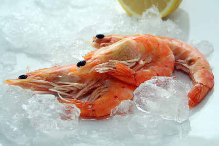 新鲜虾虾午餐食物贝类餐厅自助餐海鲜小吃背景图片
