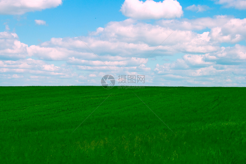 字段和蓝天空场地蓝色植物群国家天空草地绿色季节季节性乡村图片