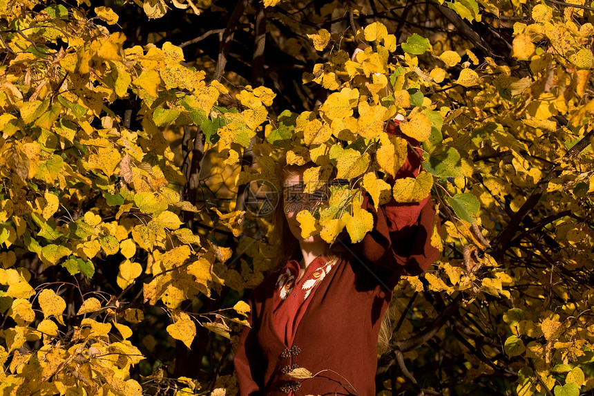 秋林中的精灵晴天女性戏服裙子故事森林角色神话树叶衣服图片