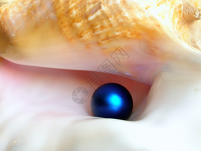 蓝珍珠奢华珠子颗粒贝壳背景图片