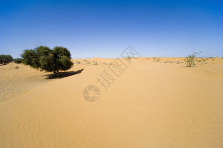 沙漠地区石头黄色太阳蓝色天空背景图片