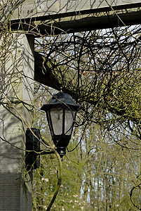 花园灯园艺灯泡庭院灯罩火炬高清图片