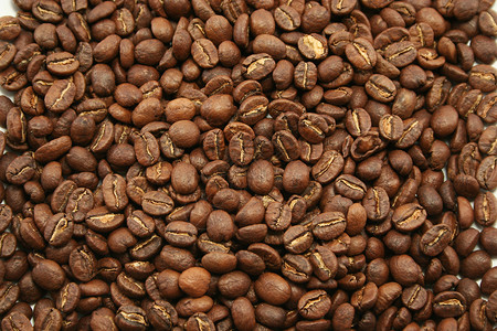 肯尼亚咖啡豆背景图片