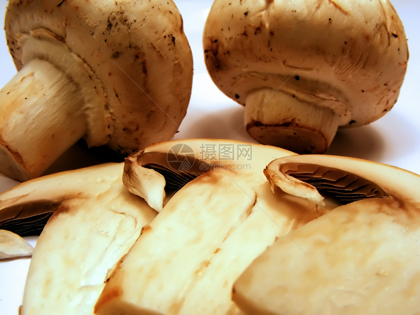 有机蘑菇食物白色饮食工作室美食营养蔬菜棕色美丽团体图片