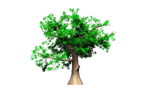树动画片白色照片森林绿色地球电脑背景图片