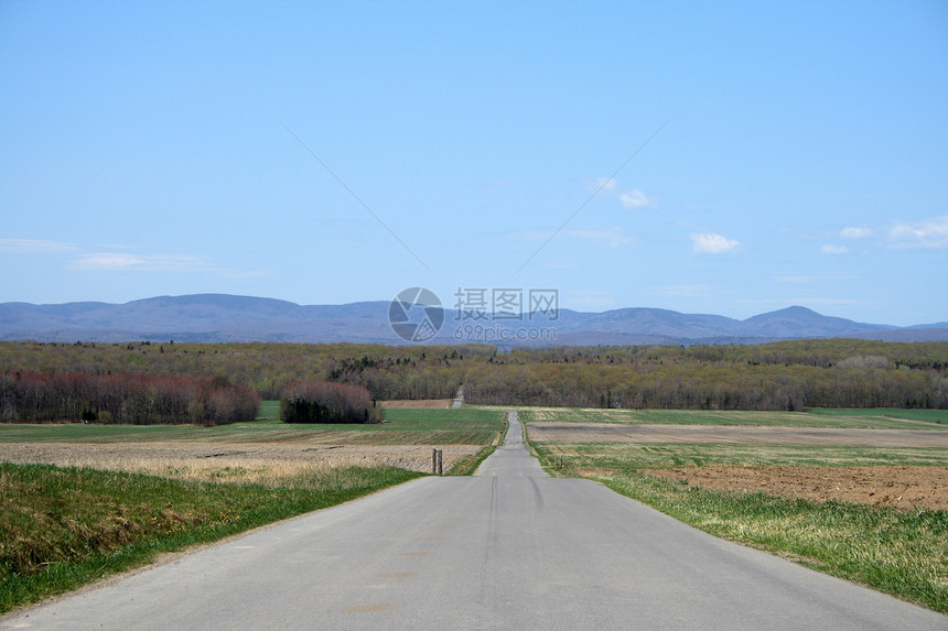 通往山区的乡村公路国家森林农村小路绿色农田木头农业旅行沥青图片
