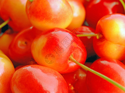 双色樱桃饮食食物红色营养黄色水果背景图片