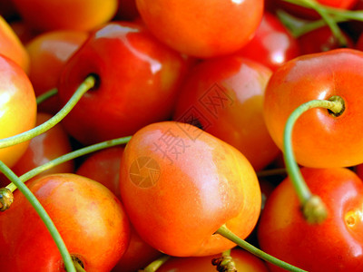 双色樱桃黄色食物水果饮食红色营养背景图片