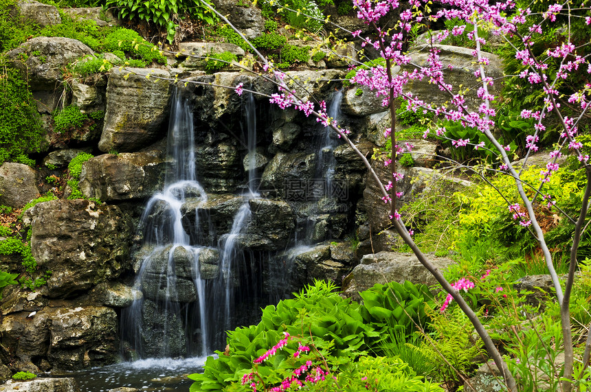 连带瀑布美化放松树木石头植物公园风景花朵园艺岩石图片