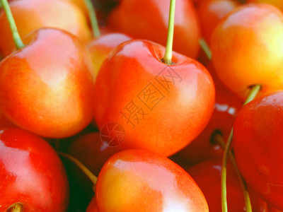 双色樱桃红色食物营养饮食水果黄色背景图片