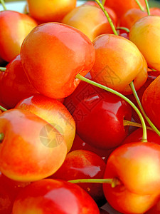 双色樱桃水果红色食物营养黄色饮食背景图片