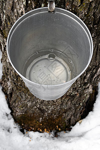 雪莉桶树上装满了石浆的酒桶背景