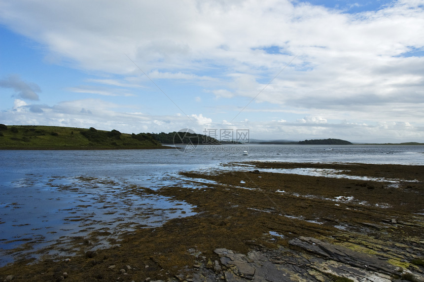 Donegal湾天空树木丘陵海洋海岸海滩支撑石头爬坡藻类图片