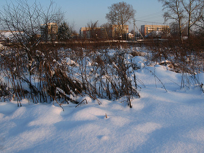 冬季阴影村庄城市树木背景图片