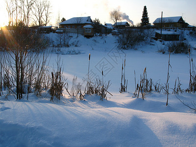 冬季阴影城市村庄树木背景图片