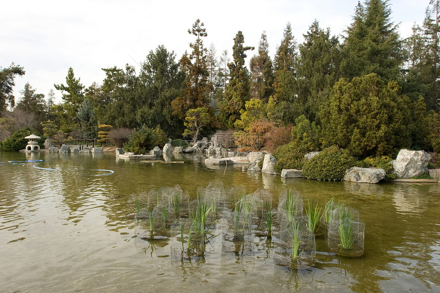 日本友谊花园冥想绿化怀旧园林反射竹子晴天公园池塘绿色图片