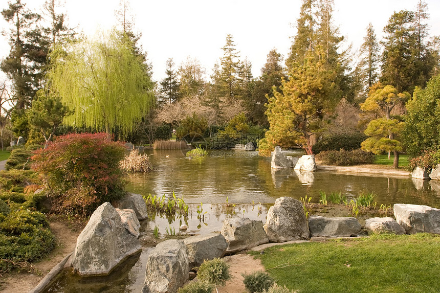日本友谊花园怀旧竹子绿色公园池塘反射园林冥想晴天绿化图片