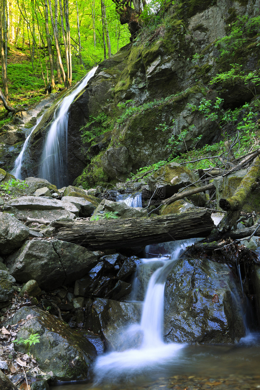 森林中的河流绿色起源液体季节植被旅行来源瀑布远足岩石图片