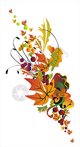 秋季摘要线条插图花朵边界季节性树叶背景图片