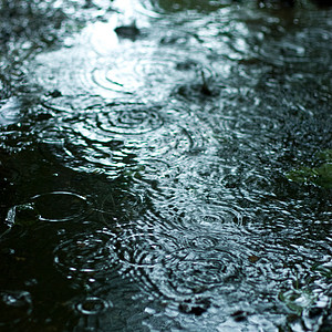 下雨天气池塘反射水坑风暴波纹飞溅圆圈雨滴液体涟漪湿的高清图片素材