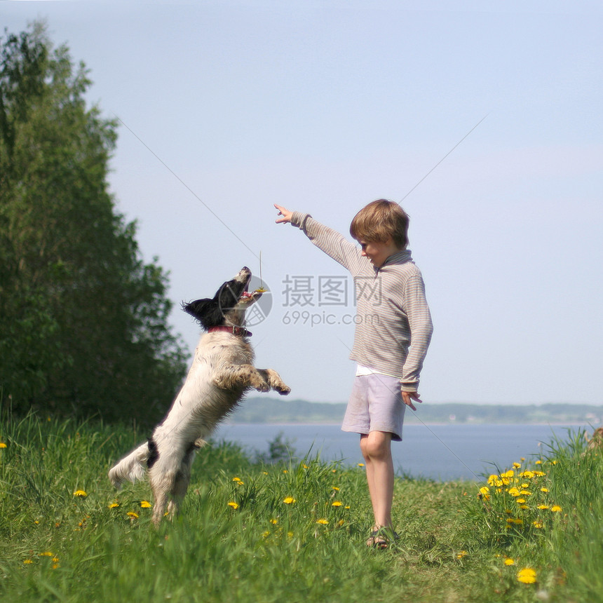 小孩玩狗游戏爬坡喜悦训练孩子场地蓝色草地吸引力绿色享受图片