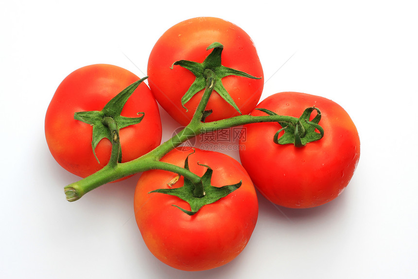 四西红番茄食品西红柿植物水果饮食白色红色时令健康饮食藤蔓图片