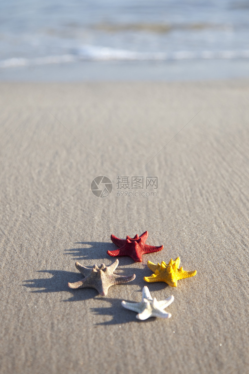黄沙滩上的海星日落黄色热带场景海滩旅行纹理孤独冲浪气候图片